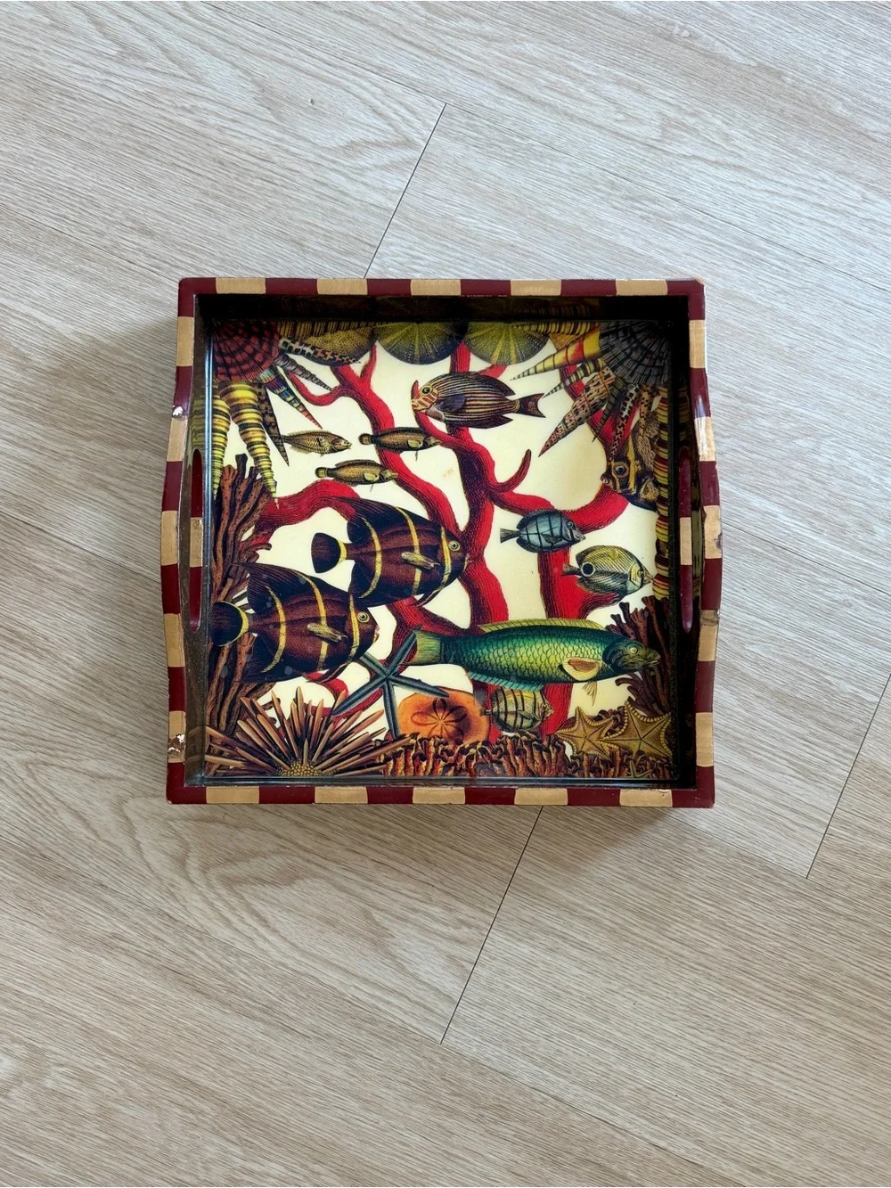 Anni Modica Oceans Fish Coral Reef Wood Tray Bar Art 12” x 12” -see description